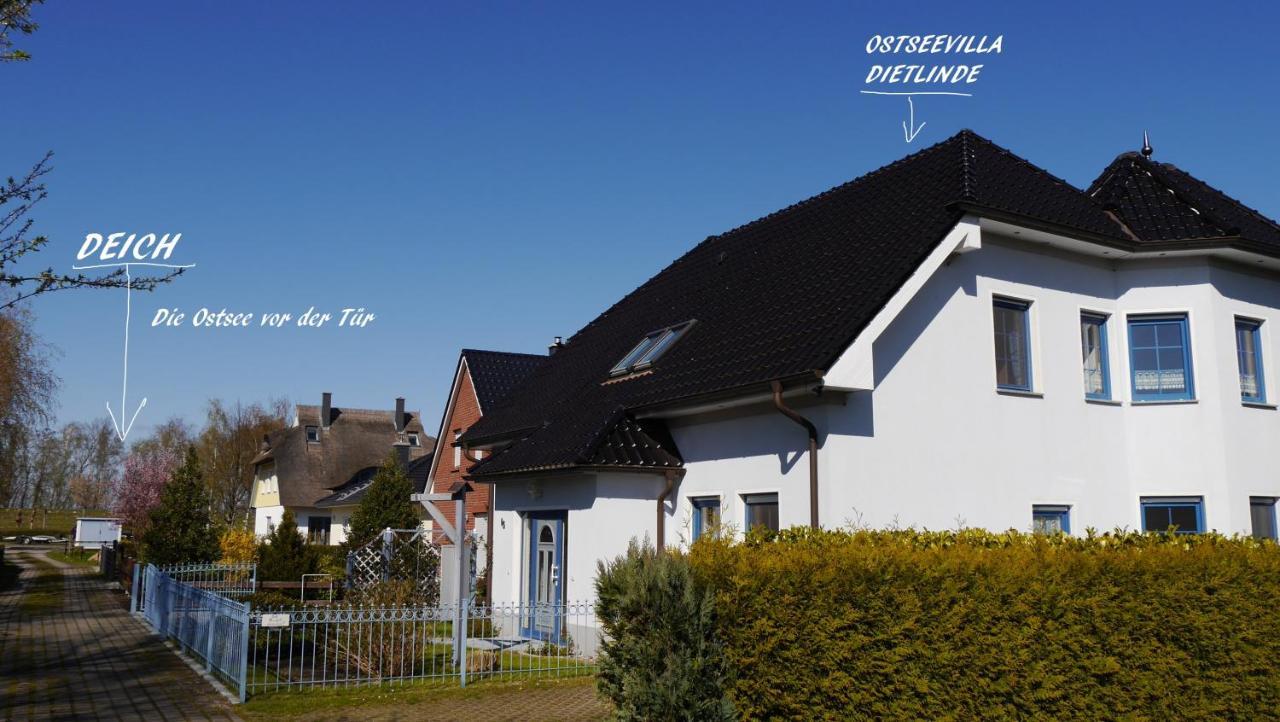 Ostseevilla Dietlinde Ostseeheilbad Ostseeheilbad Zingst Exterior foto